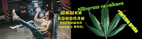 гидропоника Алзамай