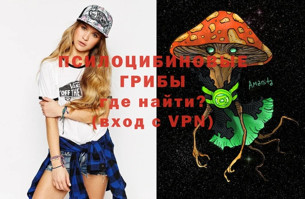 герыч Алексин
