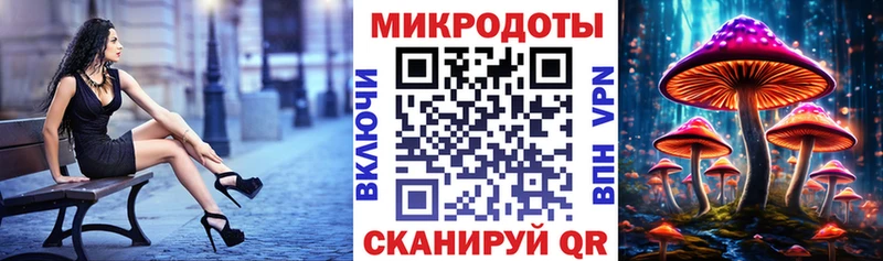 наркота Козловка Галлюциногенные грибы ЛСД